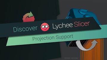 Projection Support in Lychee Slicer