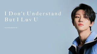 SEVENTEEN: I Don't Understand But I Luv U (Best Instrumental) Resimi