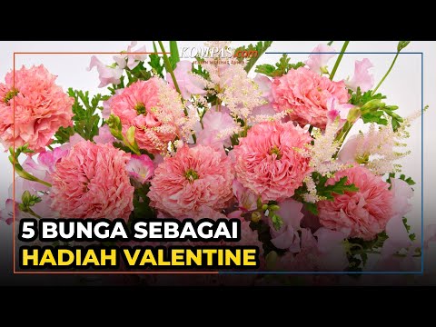Video: Apa yang dilakukan pasangan saat Valentine?