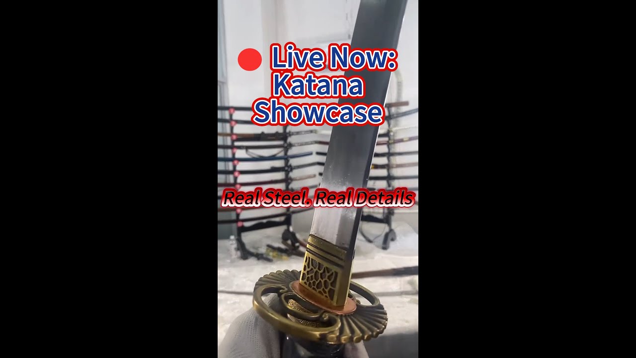 Live Katana Showcase — A Detailed Display of Every Blade Detail   Katana Live