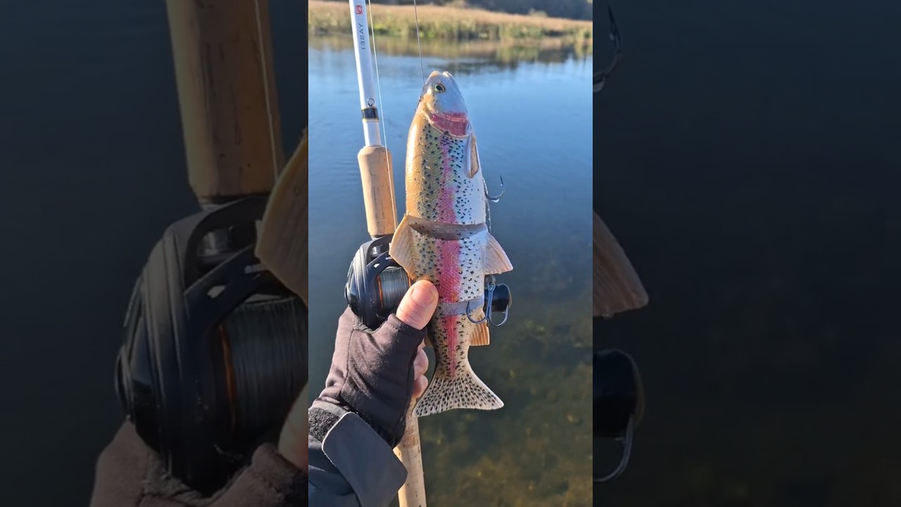 Savage Gear Line Thru Trout 40 см - Rainbow 