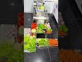 Vegetable Cutting Machine | 😱 ये Vegetable Cutter Machine देखकर हैरान रह जाओगे"