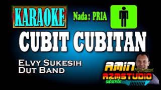 CUBIT CUBITAN || Elvy Sukesih || KARAOKE Nada PRIA