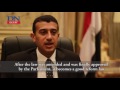 NGOs law needs strong executive tools: Al-Khouly