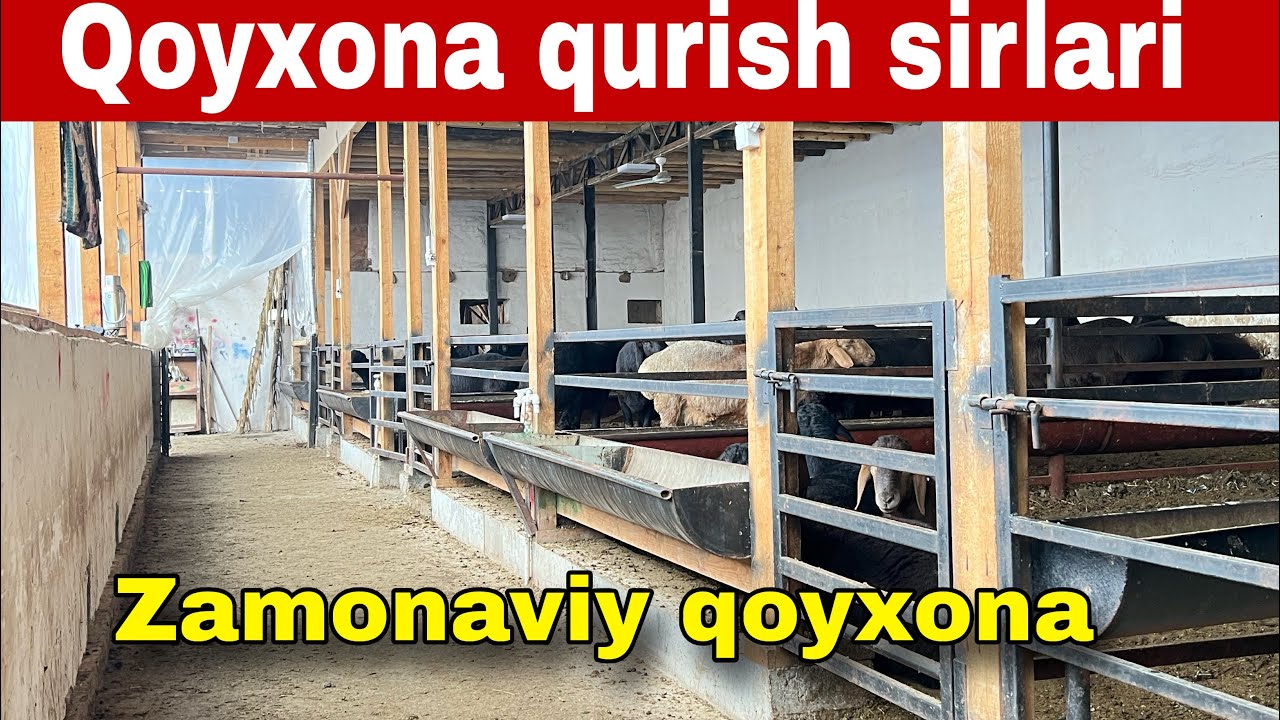 Qo’yxona qurish sirlari va qanchaga tushadi