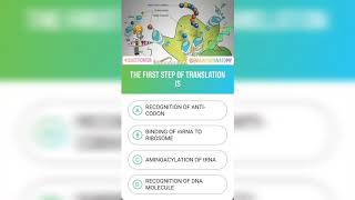 Question 150 | Brain Map Anatomy