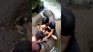 Download Lagu Csekusi oleng songgon MP3