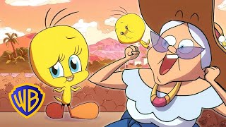 ルーニーテューンズ トゥイーティーとグラニー大暴れ