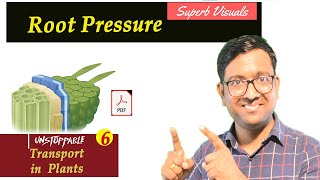 Root Pressure I Transport In Plants  I NEET I Dr Kunal (KT)