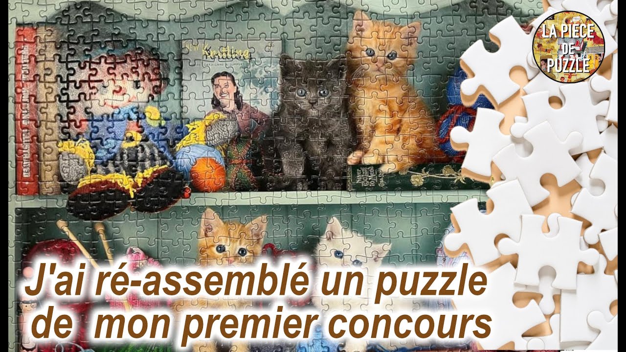Kitten In Flower Garden - 100 piezas