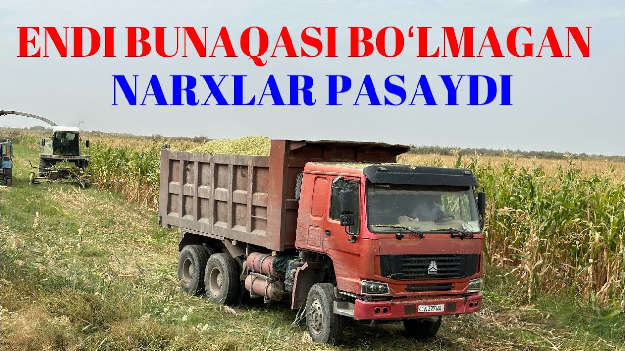 Buxoro Kogon: Eng Arzon Silo'lardan Nech Pul Bo'lyapdi?