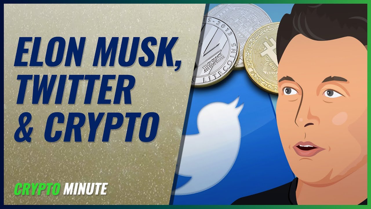 Will Elon Musk Bring Dogecoin to Twitter? Will Elon Musk Bring Dogecoin to Twitter?