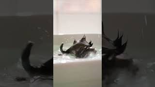 Discover the ultimate featherlight sensation #lightweight #softtouch #comfort