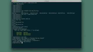 [Git] Patch Some Files From Another Branch