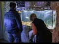 Най-отровният октопод в света обитава аквариум в Природонаучния музей в Пловдив
