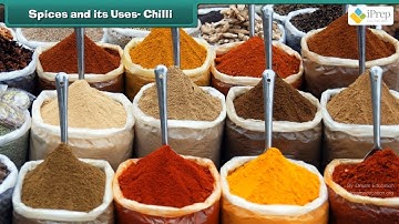 Class 4 EVS Chapter - 25 "Spicy Riddles" cbse ncert english Environmental studies Looking Around