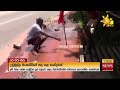 මහමග|sin