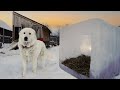 An Ice Cube Dog House for Sub-Zero Temps | Livestock Guardian Dog Housing