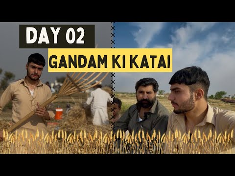 My Last Vlog😌 || Malu ke Gao me 2sra din❤️