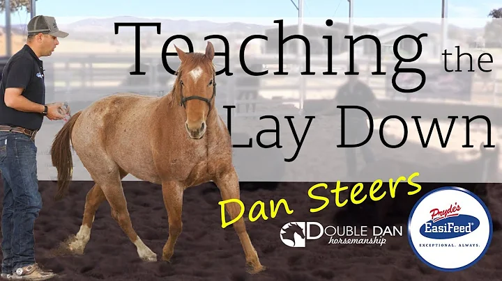 Teaching the Lay Down - Double Dan Horsemanship