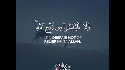 قرآن كريم بصوت القارئ مشاري فالح تلاوة مؤثر ارح قلبك 💚🌿حالة واتس إسلامية /استوري انستغرام