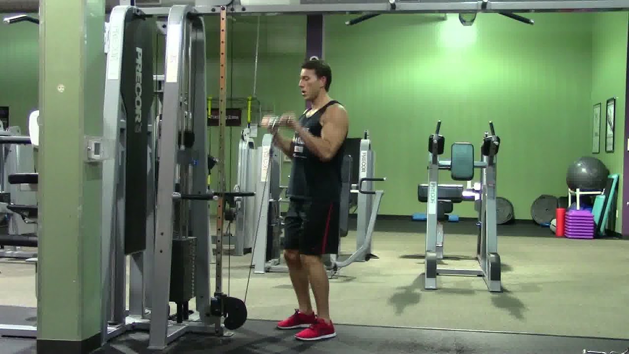 Reverse Grip Curl - HASfit Biceps Exercise Demonstration - Bicep Exercises - Reverse Curls