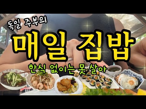 Eng)🇩🇪독일 일상 vlog | 2인 가족의 집밥? (나시고랭, 양배추 생채, 김밥, 짜장면), 주방템과 식자재 추천, 뮌헨 레스토랑, 독일 주부 브이로그⭐️