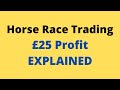 £25 Profit - Pre Race Horse Trading - Betfair Trading - EXPLAINED