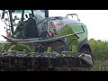 Claas - Fendt / Maissilage - Silaging Maize  2022