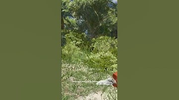 Stranded deep on Xbox game review (part 2)#entertainment #shorts