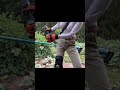 電動草刈り機は使えるのか？【マキタ】#家庭菜園 #畑 #アウトドア
