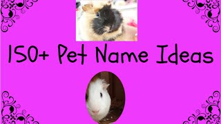 150+ Pet Name Ideas Profile