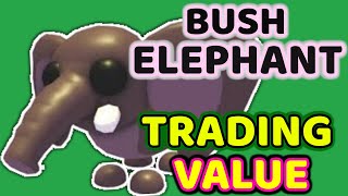 Bush Elephant Trading Value in Adopt Me! #bushelephant #adoptmetrades