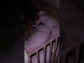 Thế thì chịu rồi #xuhuongyoutube