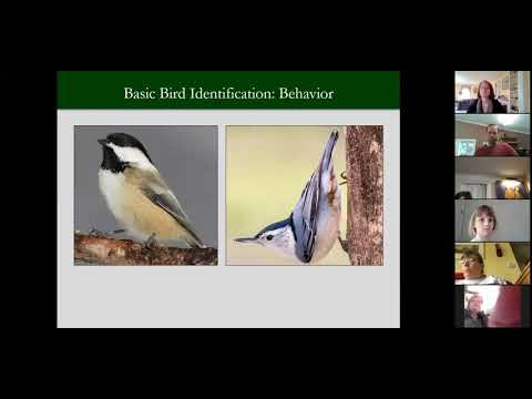 Birding in Your Backyard and Beyond by Vermont Coverts Woodlands for Wildlife