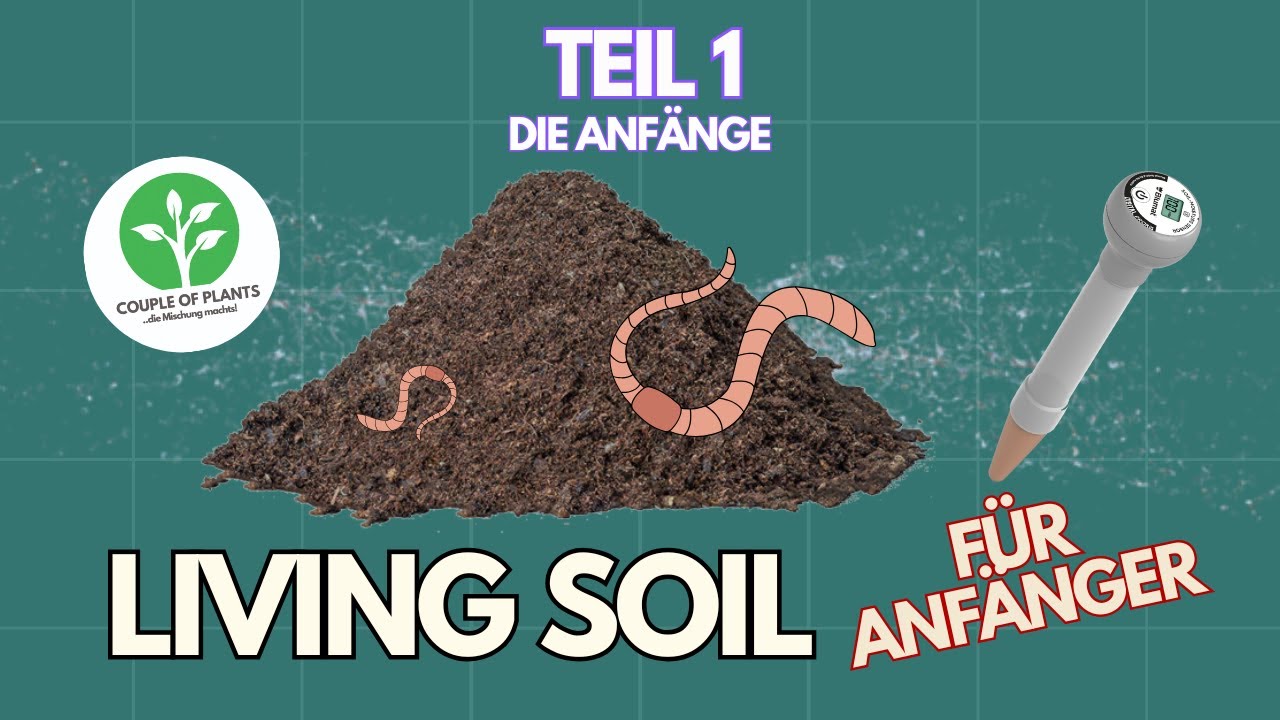 🌱 Живая почва для начинающих - Начало | Часть 1