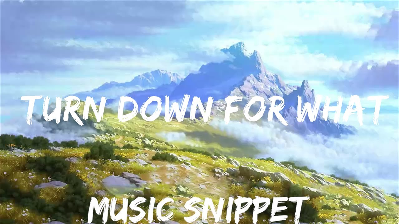 DJ Snake, Lil Jon - Turn Down for What (Lyrics) | Music on time DJ Snake, Lil Jon - Turn Down for What (Lyrics) | Music on time