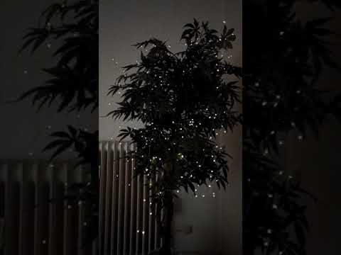 Solar Lichterkette,LUXJET® Wasserdichte Außenbeleuchtung Kupferdraht Solarleuchten Warmweiß für Garten/Terrass