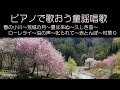 🎹ピアノで歌おう童謡唱歌🎼ピアノ演奏:峯 慎吾😃大きな声で歌ってみよう🌸春の小川🌛荒城の月🌞夏は来ぬ🥰久しき昔(ロングロングアゴー)🌊ローレライ🌿虫の声😥叱られて 🍃赤とんぼ🍁村祭り #KOSMA