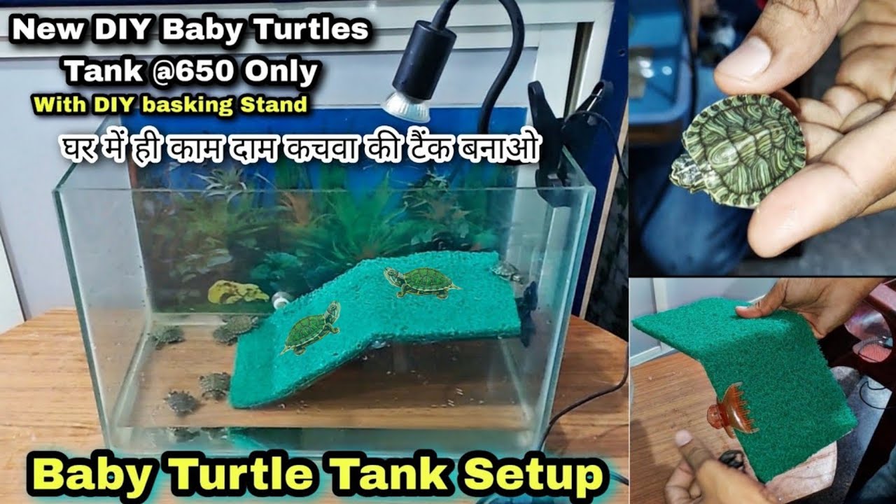 How To Setup New Turtles tank For baby Turtle at home with DIY basking  Stand 