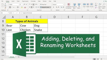 How to Add, Delete, and Rename Worksheets on Excel: Very Easy!!!