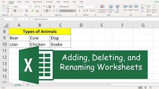 How to Add, Delete, and Rename Worksheets on Excel: Very Easy!!!
