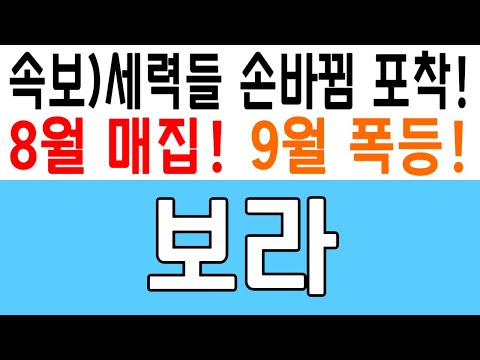 보라 속보 세력들 손바뀜 포착 8월 매집 9월 폭등 