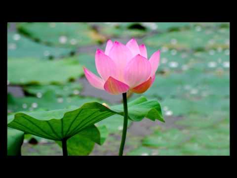 Om Mani Padme Hum Mantra 3 Hours - 3 TIẾNG Thần Chú Mật Tông Tây Tạng Án Ma Ni Bát Di Hồng