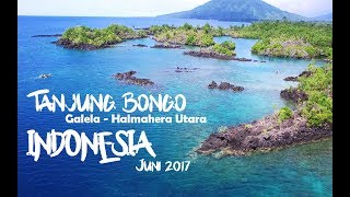 Tanjung Bongo - Galela, INDONESIA #2