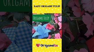 Easy Origami Tulip 🌷 How to