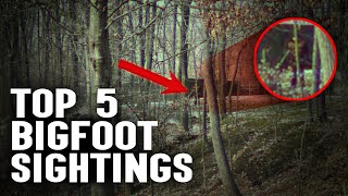 5 Compelling Bigfoot Sightings Caught on Camera