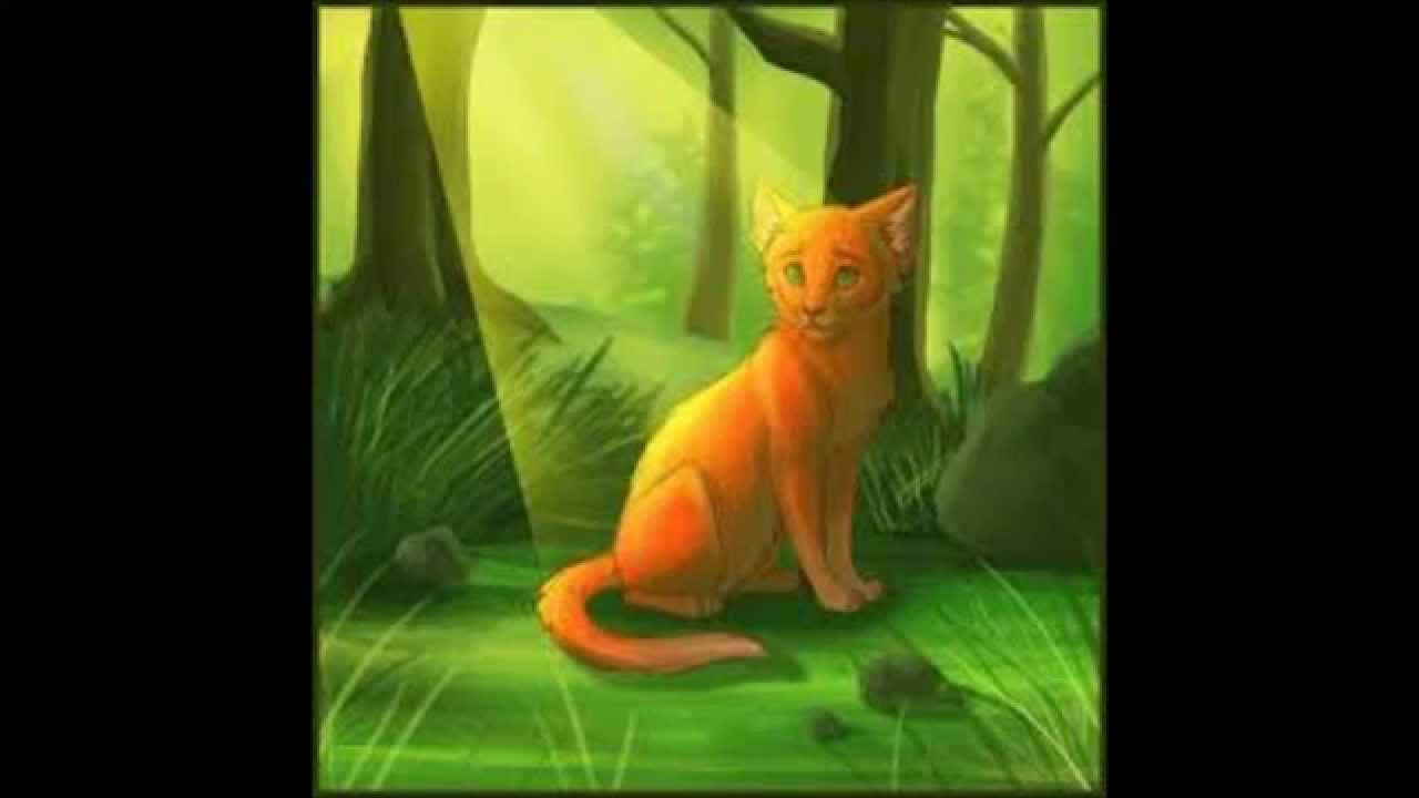 the most popular thunderclan members (warrior cats) YouTube