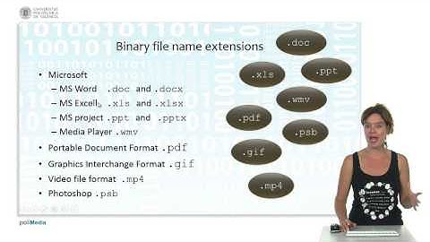 Databases, Files and Datawarehousing: Binary files |  | UPV