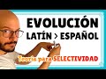 EVOLUCIÓN DEL LATÍN al español: TEORÍA para selectividad 🏛️ Curso de latín desde cero